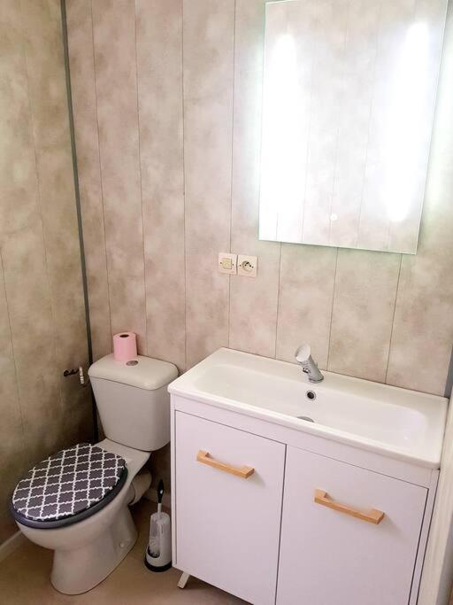 Le Jeanne 4/6 Couchages, Wifi, Sanctuaire Apartment Lourdes Exterior photo